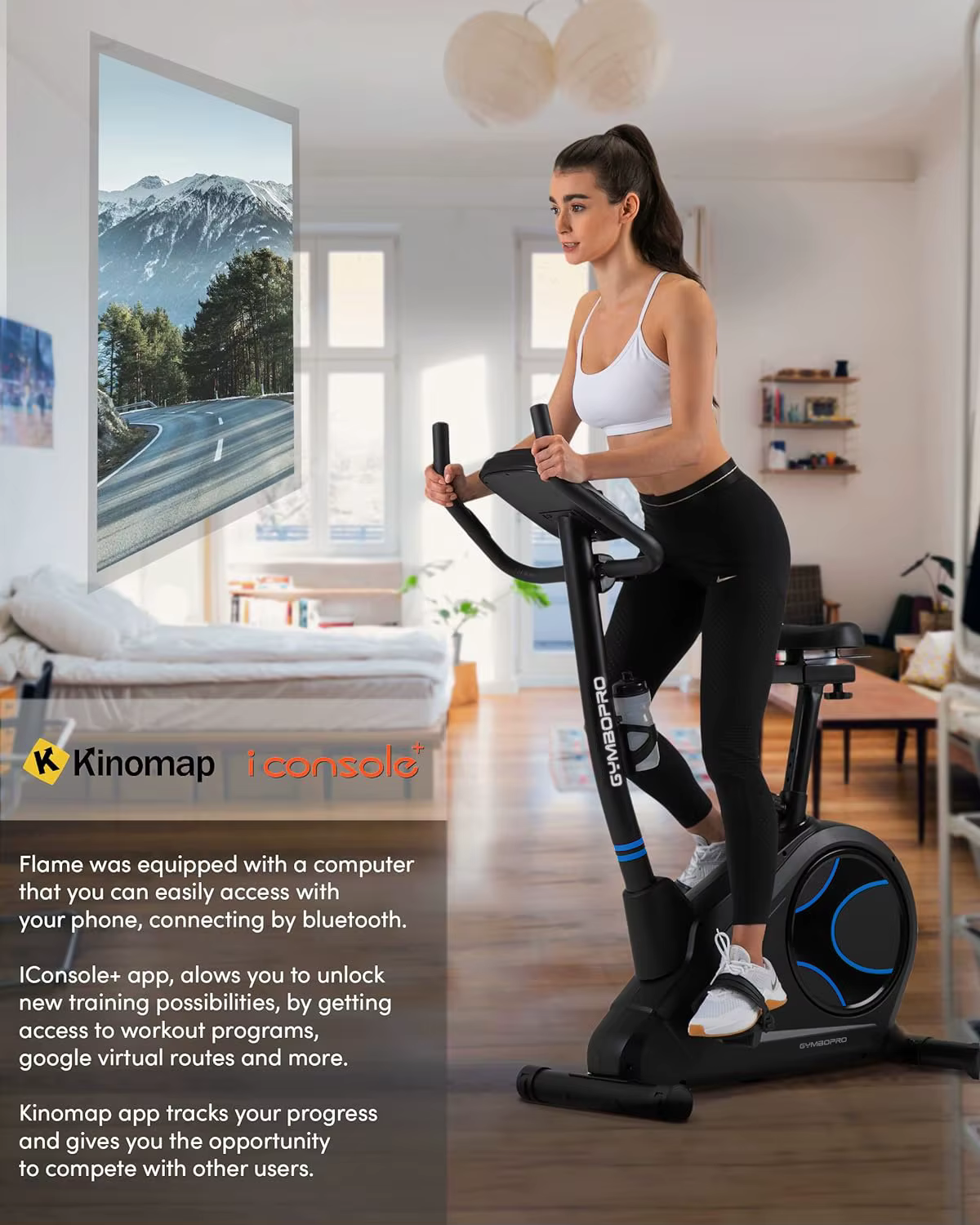 Home Use Fitness Magnetic Exercise Bicycle Stationary Bike Cardio Training Bike for Indoor — image 2