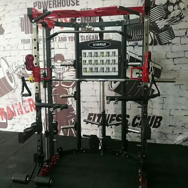 2021 Newest Design Factory Price Body Solid  Multi Functional Smith Trainer XR1001 — image 2