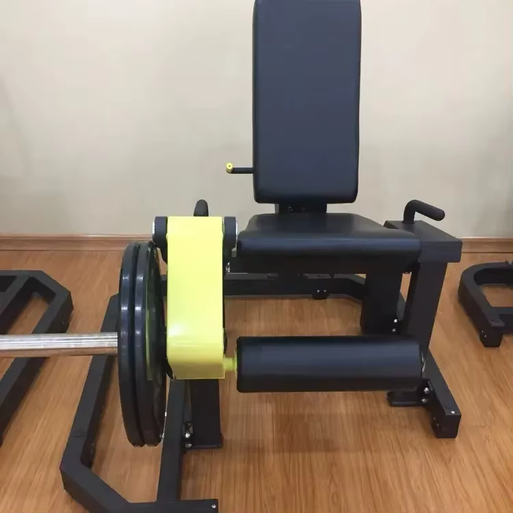 XR FW11 Steel Hanging Plate Gym Equipment for Universal Leg Extension Exercise-Shandong Origin — image 2
