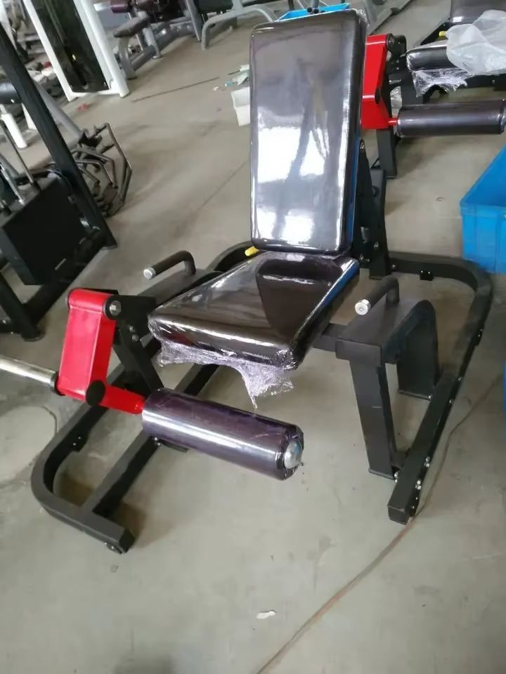 XR FW11 Steel Hanging Plate Gym Equipment for Universal Leg Extension Exercise-Shandong Origin — image 3