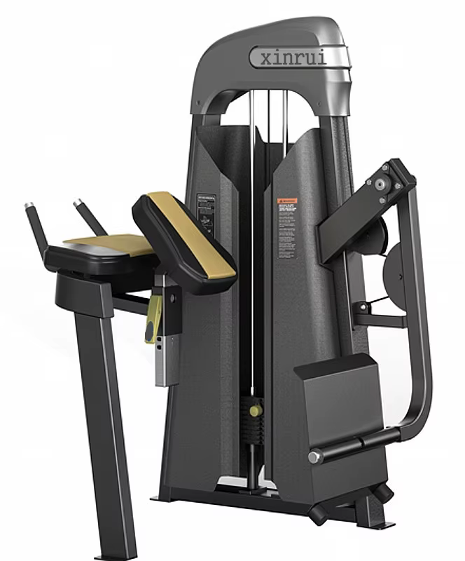 China Gym Machine for Bodystrong  Glute Isolator  XC816 — image 2
