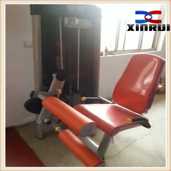 Gym Equipment Land Fitness Professional Body Building Equipment Leg Extension — image 2