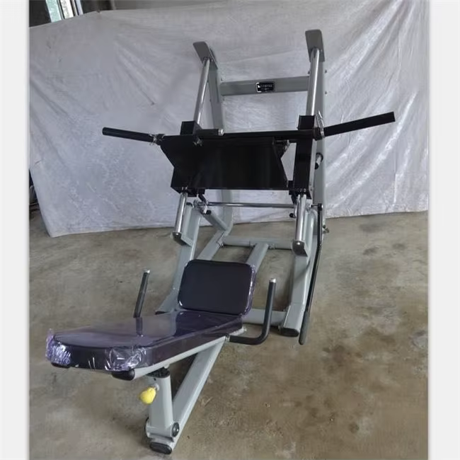 Integrated Leg Press Gym Trainer — image 2