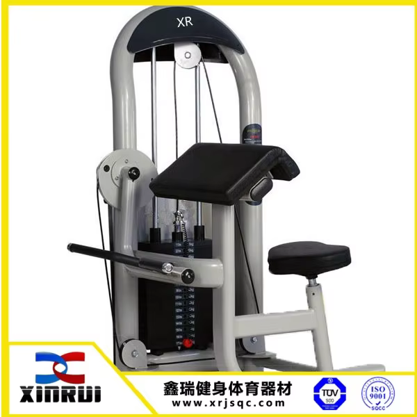 Professional Sports Equipment Gym Camber Curl Strength Machine Biceps Curl Machine — image 2