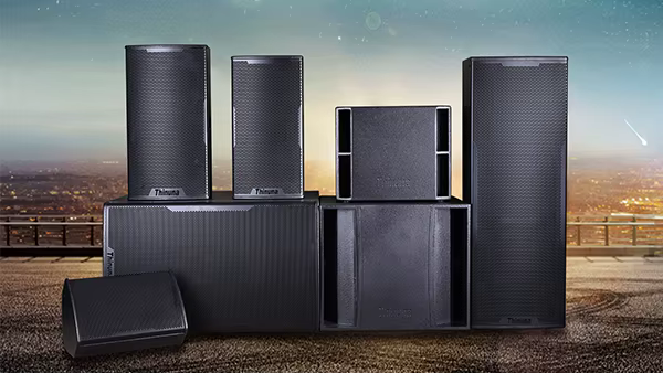 Thinuna T-15B 8 Ohms 600W High Powered Bass Woofer Speaker Low Frequency Performance 15 Inch Compact Subwoofer — image 2