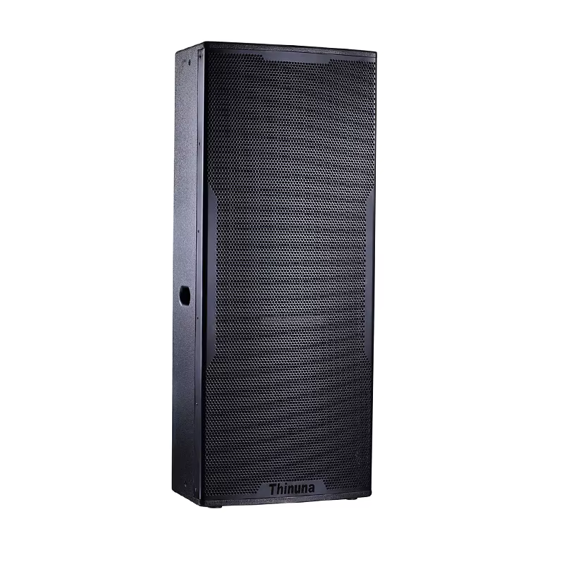 Thinuna T-218B Perfect Listening Effect and High Reliability Design Dual 18 Inch 1000 Watt Woofer KTV Audio Bass Subwoofer — image 5