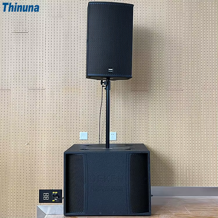Deken Professional PA Sound System FLEX T18S Passive Speaker 18-inch Sixth-Order Bandpass Bass Reflex Subwoofer 1 Unit — image 5