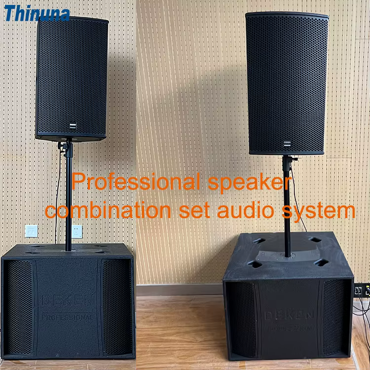 Deken Professional PA Sound System FLEX T18S Passive Speaker 18-inch Sixth-Order Bandpass Bass Reflex Subwoofer 1 Unit — image 6