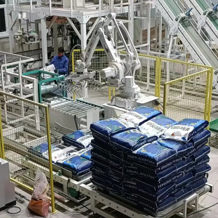 Customize Palletizing System Project for 25kg 50kg Bag Carton Case KAWASAKI Robot Palletizing Machine Robot Palletizer — image 3