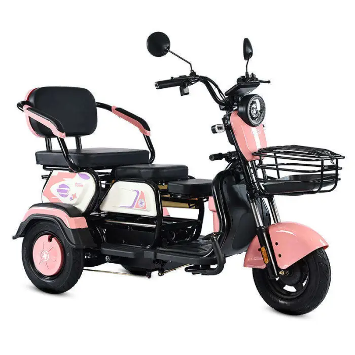Factory Direct Sales New Stylish Customizable 3-Wheel Steel Electric Tricycle Rear Hub Motor 3-Speed for Families Passengers — image 2
