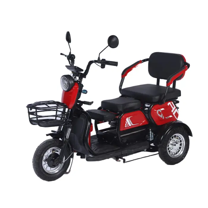 Electric Three Wheel Tricycle E-bike 3 Wheels Rear Hub Motor 3 Speed 48V 600W Steel Frame Lead-Acid Battery — image 4