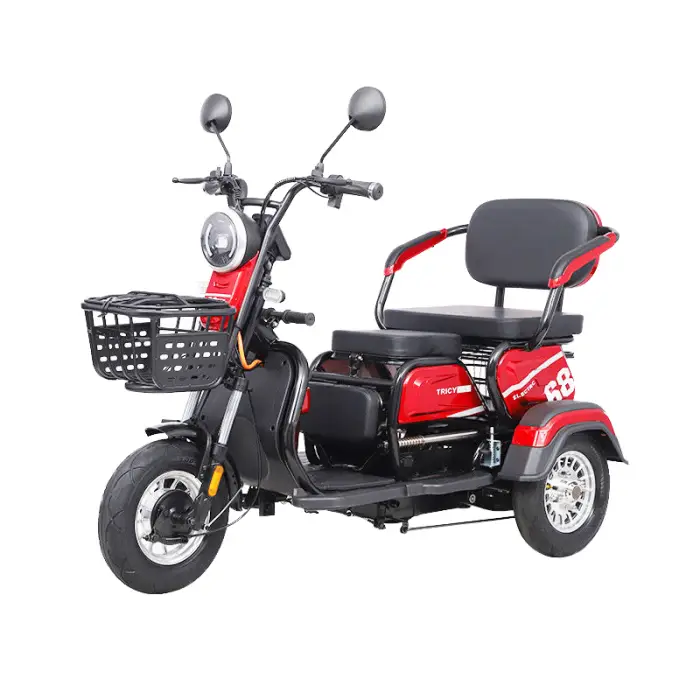 Electric Three Wheel Tricycle E-bike 3 Wheels Rear Hub Motor 3 Speed 48V 600W Steel Frame Lead-Acid Battery — image 5