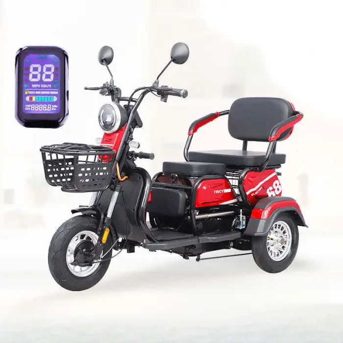 Factory Wholesale Price Fashionable Casual Multi-functional Adult Double-seater Electric Tricycle Rear Hub Motor 48V Steel Frame — image 4