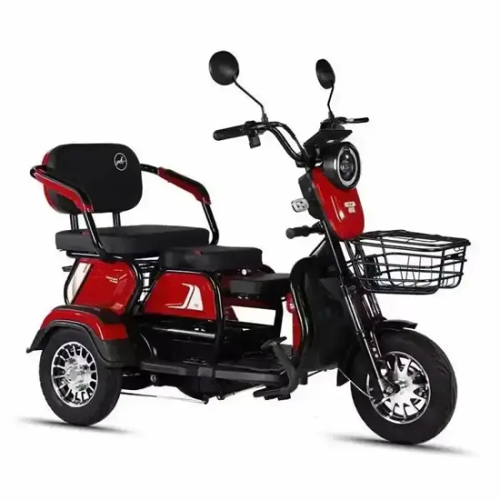 Three-Seat Electric Tricycle Supplier 3-Wheel Rear Hub Motor Lead-Acid Battery 600-1000W 31-60km Range — image 2