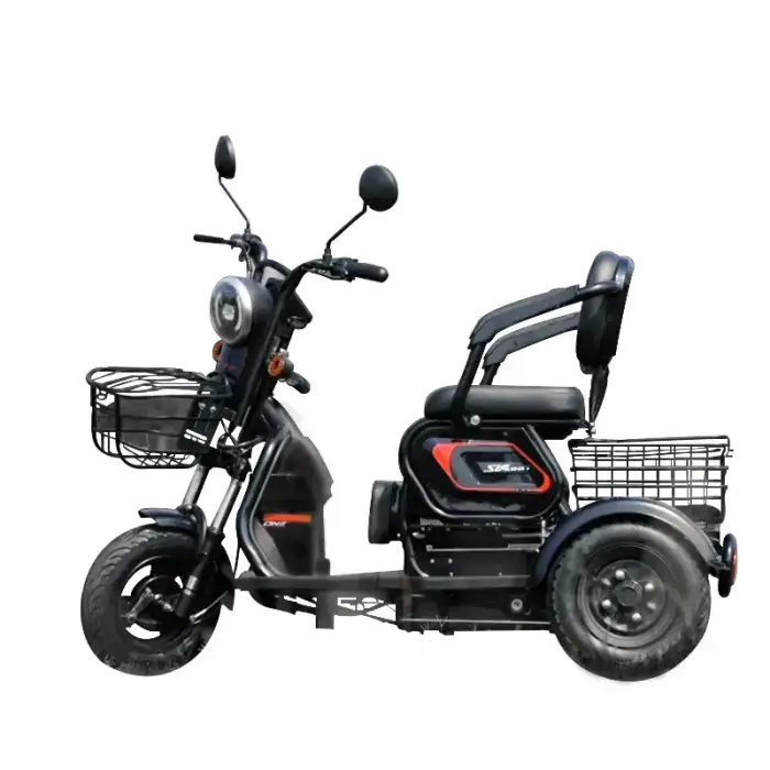 Three-Seat Electric Tricycle Supplier 3-Wheel Rear Hub Motor Lead-Acid Battery 600-1000W 31-60km Range — image 6