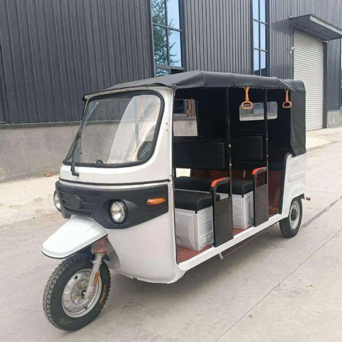 48/60v 7-Passenger Steel Frame Rear Hub Motor 3-Speed Lead-Acid Battery Canopy Remote Electric Tricycle — image 2