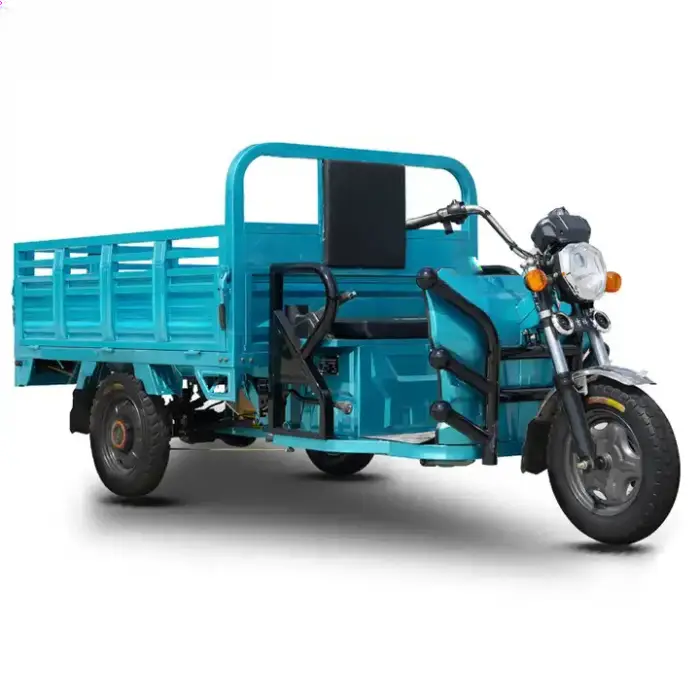 China Motor Family 3 Wheel Cargo Trike Electric Tricycle Carrying Cargo Electric Truck — image 2