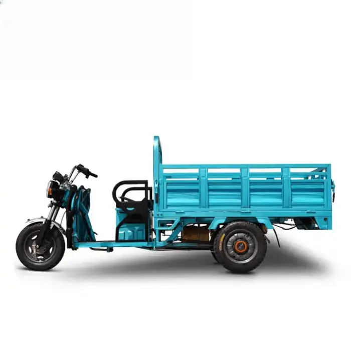 China Motor Family 3 Wheel Cargo Trike Electric Tricycle Carrying Cargo Electric Truck — image 3