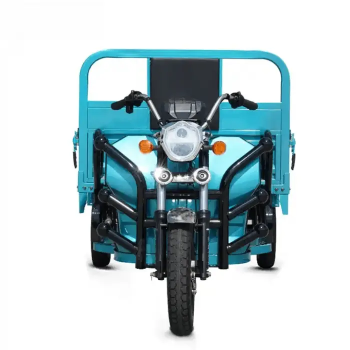 China Motor Family 3 Wheel Cargo Trike Electric Tricycle Carrying Cargo Electric Truck — image 4