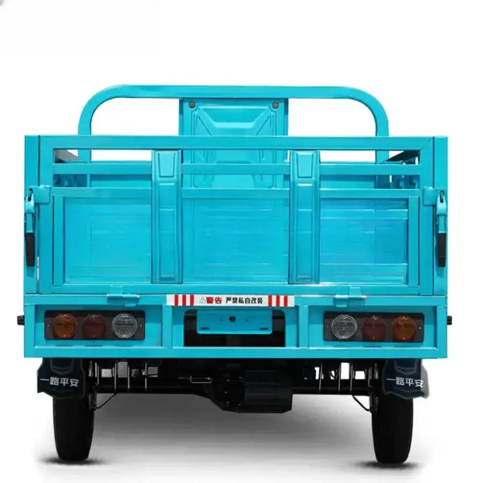 China Motor Family 3 Wheel Cargo Trike Electric Tricycle Carrying Cargo Electric Truck — image 5