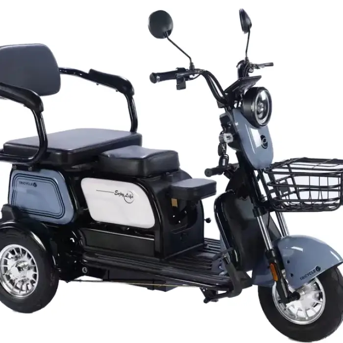 Electric Pedicab Three-Seater Steel Frame Tricycle with Rear Hub Motor 3-Speed Lead-Acid Battery 600W 48V — image 2