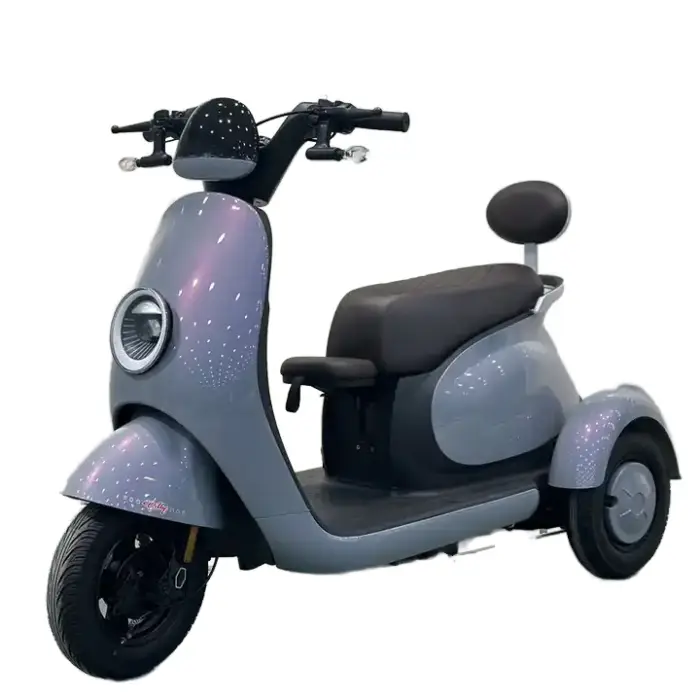 Spacious Seats 3 Wheels 3 Speed 48V 13.4Ah Adult Electric Scooter Tricycle with Brushless Motor Carbon Steel Frame — image 6