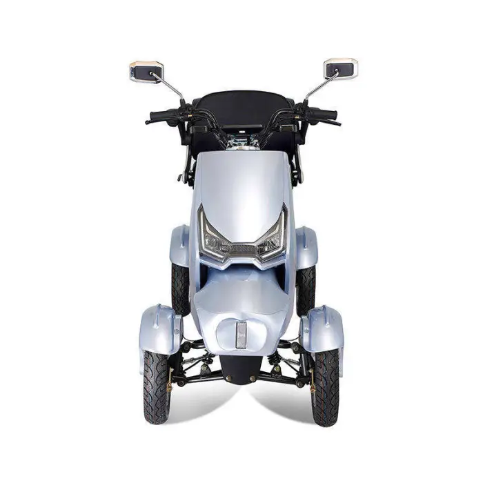 Model Electric Freight Tricycle Rear Hub Motor Steel Frame 1000W Brushless Long Range High-quality Excellent Performance — image 2