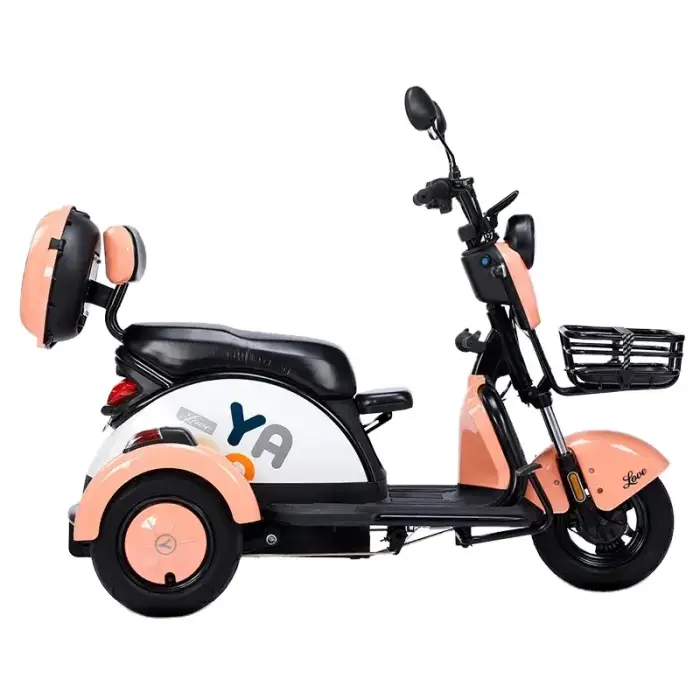 High-end Cheap Electric Tricycle 3 Wheels 3 Speed Brushless Motor Carbon Steel Frame LCD Display 3-person for Adults — image 3