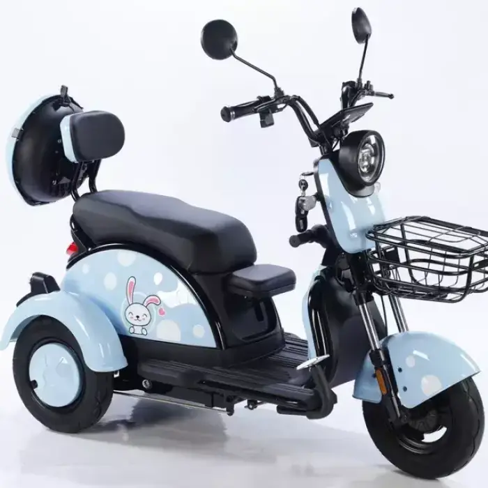 High-end Cheap Electric Tricycle 3 Wheels 3 Speed Brushless Motor Carbon Steel Frame LCD Display 3-person for Adults — image 6