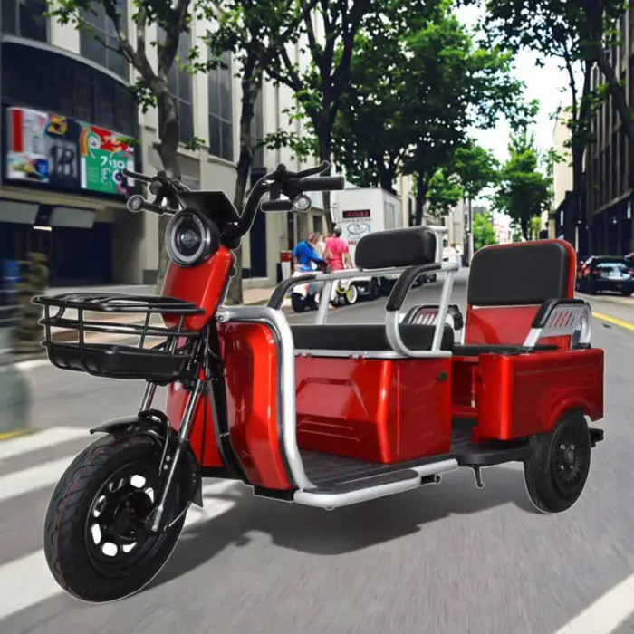 600W Rear Hub Motor 48V 3-Speed 3-Wheel 3-Seater Steel Frame Lead-Acid Battery Electric Tricycle — image 4