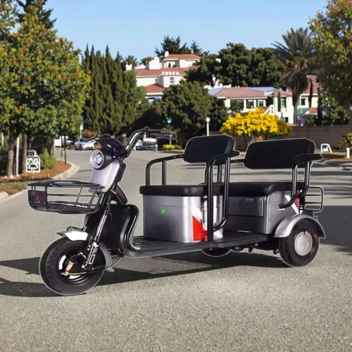 Wholesale Double-person Electric Tricycles with Two Rows of Passengers Adult Three-wheeler Brushless Motor Carbon Steel Frame — image 3