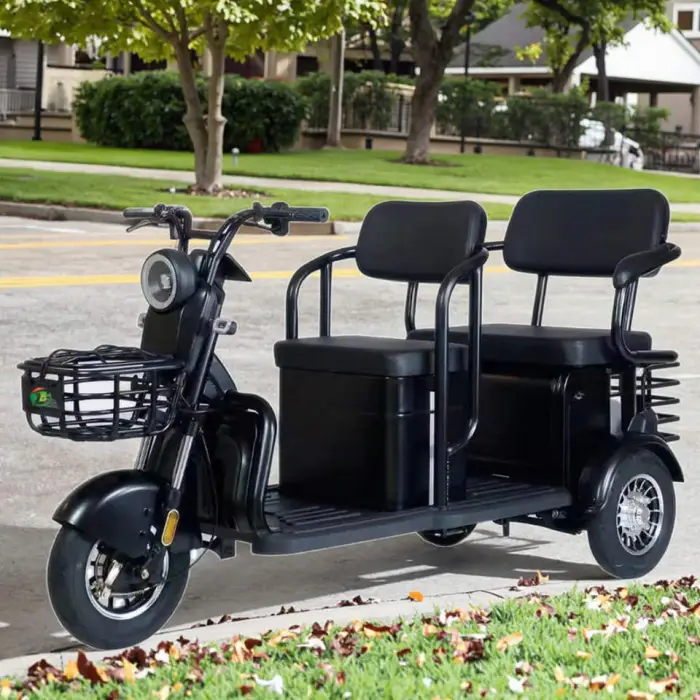 Wholesale Double-person Electric Tricycles with Two Rows of Passengers Adult Three-wheeler Brushless Motor Carbon Steel Frame — image 4