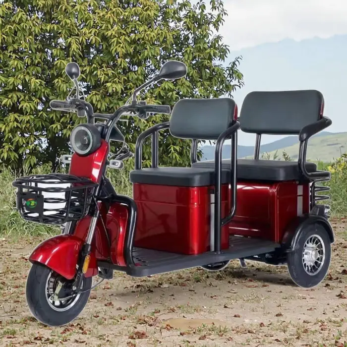 Wholesale Double-person Electric Tricycles with Two Rows of Passengers Adult Three-wheeler Brushless Motor Carbon Steel Frame — image 6