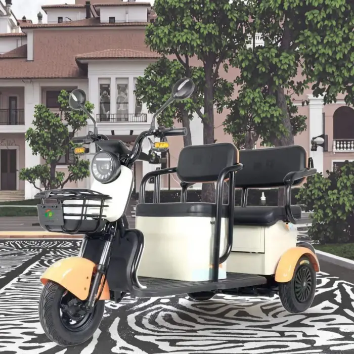 Cheap Tricycle 3-wheel Electric Freight Bicycle, Household Small Scoote RLead-acid Battery Steel-made Electric Tricycle — image 5