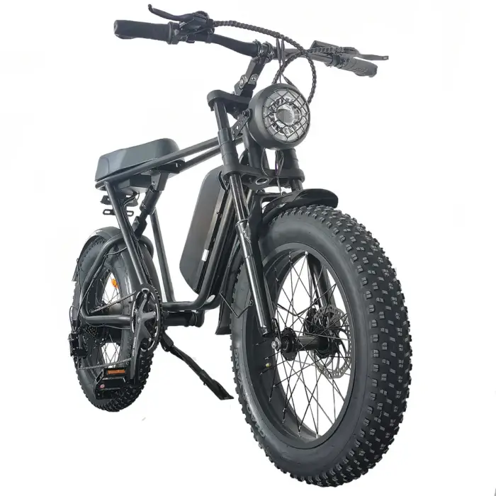 Electric Bike Man 750W Aluminum Alloy Electric off Road Bike 20 Inches Fat Tire 7 Speed Electric Bike off Road — image 2