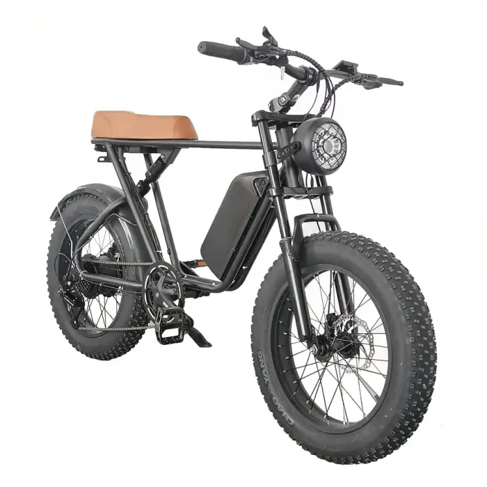 Electric Bike Man 750W Aluminum Alloy Electric off Road Bike 20 Inches Fat Tire 7 Speed Electric Bike off Road — image 3