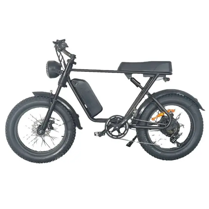 Electric Bike Man 750W Aluminum Alloy Electric off Road Bike 20 Inches Fat Tire 7 Speed Electric Bike off Road — image 4