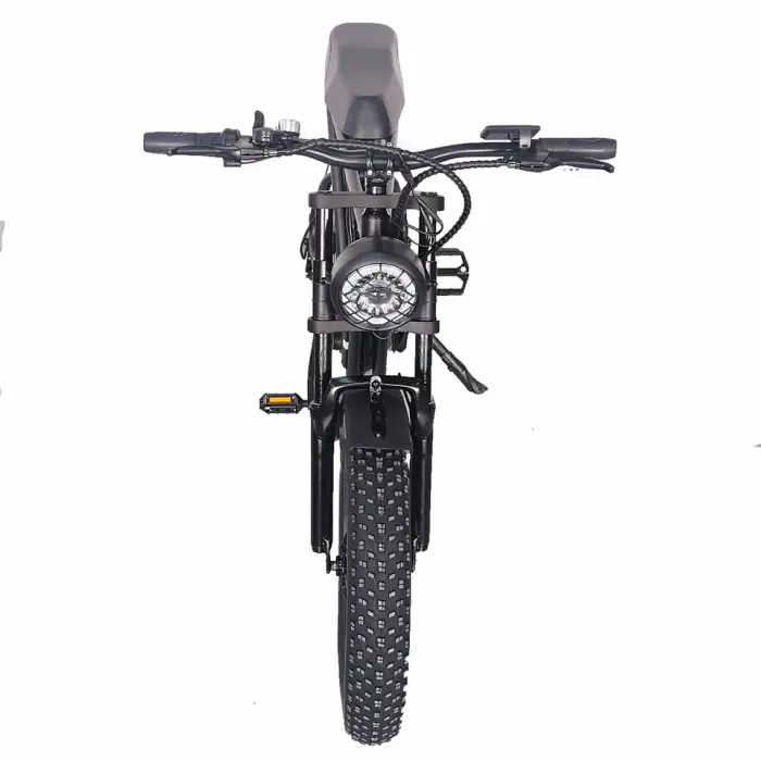 Electric Bike Man 750W Aluminum Alloy Electric off Road Bike 20 Inches Fat Tire 7 Speed Electric Bike off Road — image 5