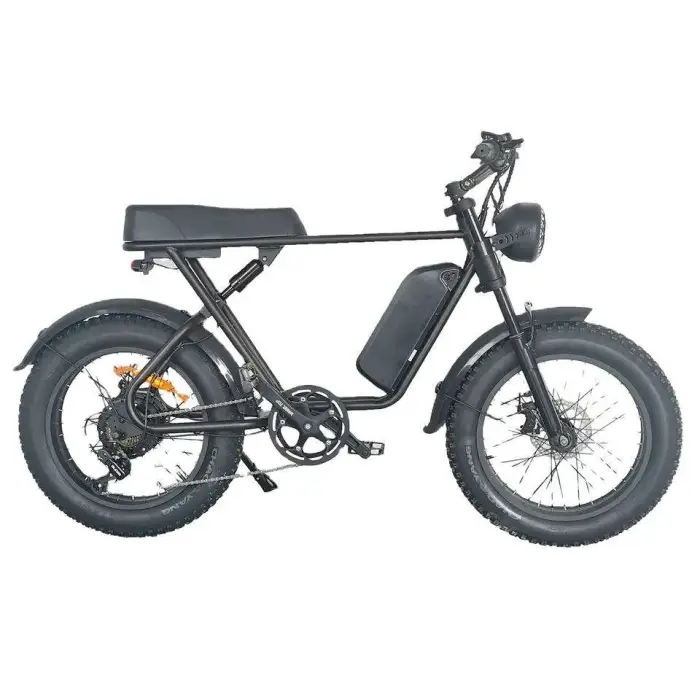 Electric Bike Man 750W Aluminum Alloy Electric off Road Bike 20 Inches Fat Tire 7 Speed Electric Bike off Road — image 6