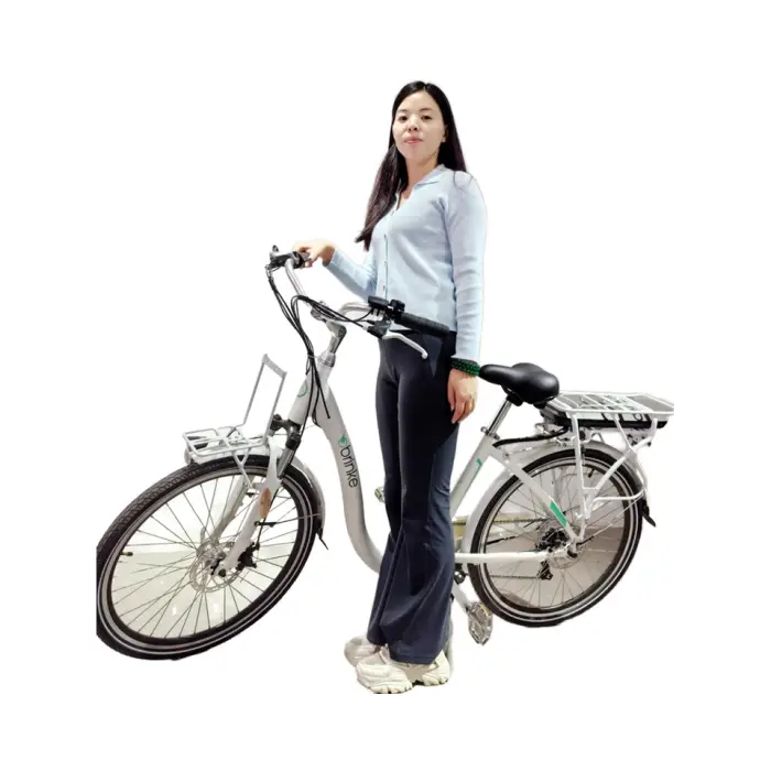 350W Lithium Battery Green Urban Electric Bicycle Ladies' Electric Bicycle — image 2