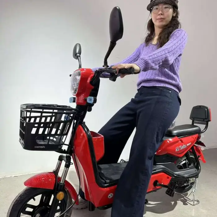 New 350W Electric City E-Bike LCD Display Steel Frame Integrated Lead Acid Battery Electronic Sensor 18 Months Quality Assurance — image 4