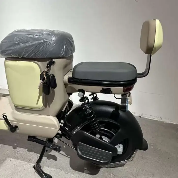 Hot Selling New Style Electric City Bike with 500W Brushless Motor and Removable Lithium Battery Electrically Bicycle — image 3