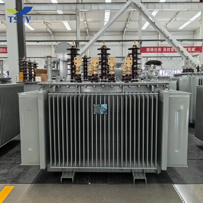 IEC IEEE Standard Three Phase  100kva 6.6kv 400v Oil Immersed Transformer 50/60Hz — image 3
