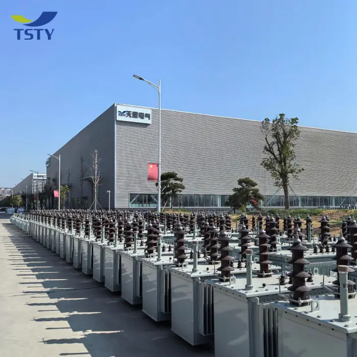 IEC IEEE Standard Three Phase  100kva 6.6kv 400v Oil Immersed Transformer 50/60Hz — image 5
