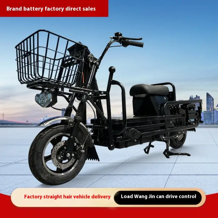 High Power Customizable Electric Tricycle Large Flat Pedal Open Body for Pulling Goods Durable Battery Car Reputed Manufacturer — image 5