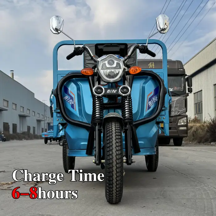 Cargo Delivery 3 Wheel Electric Tricycles Electric Three Wheeler Cargo 1000W Electric Trike Scooter Cargo Bike for Transport — image 3