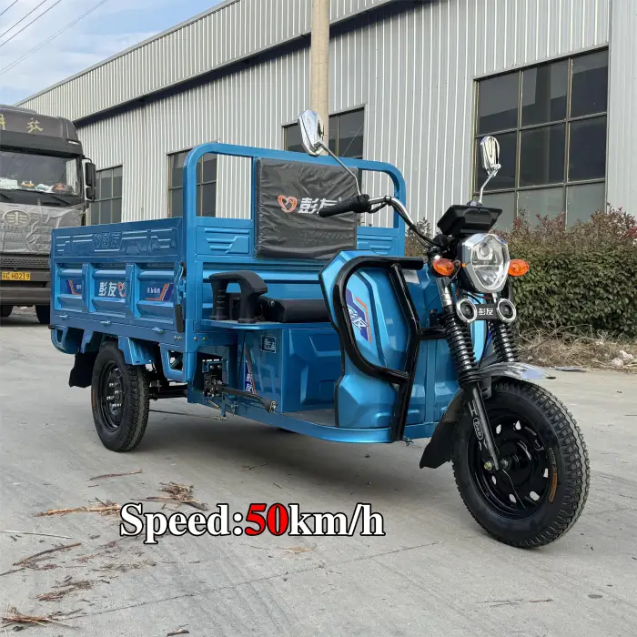 Cargo Delivery 3 Wheel Electric Tricycles Electric Three Wheeler Cargo 1000W Electric Trike Scooter Cargo Bike for Transport — image 4