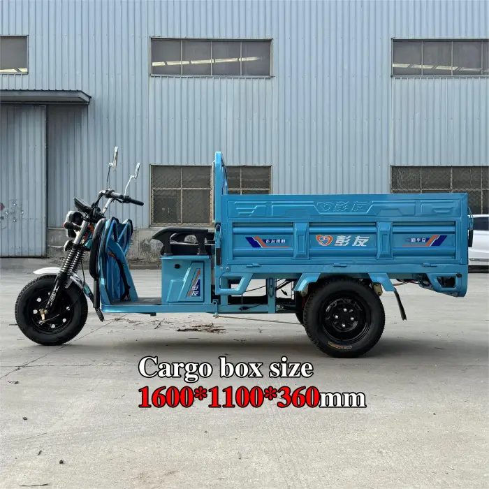 Cargo Delivery 3 Wheel Electric Tricycles Electric Three Wheeler Cargo 1000W Electric Trike Scooter Cargo Bike for Transport — image 5