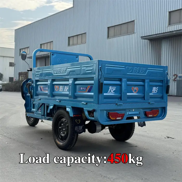 Cargo Delivery 3 Wheel Electric Tricycles Electric Three Wheeler Cargo 1000W Electric Trike Scooter Cargo Bike for Transport — image 6