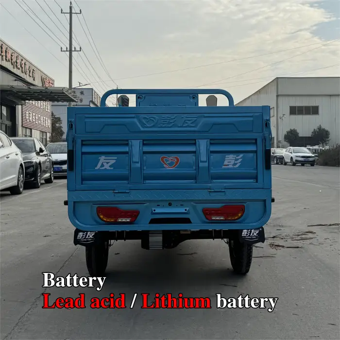 Cargo Delivery 3 Wheel Electric Tricycles Electric Three Wheeler Cargo 1000W Electric Trike Scooter Cargo Bike for Transport — image 7